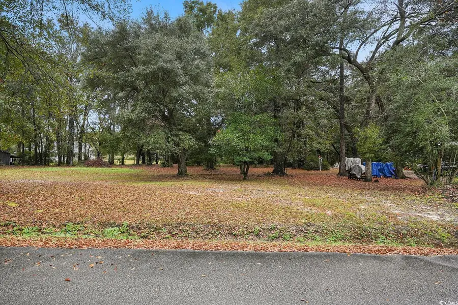 TBD Estate Ln., Georgetown, SC 29440 - Image #2