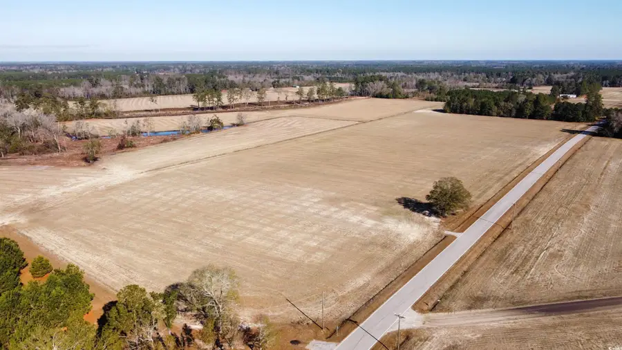 TBD Shelley Ln., Nichols, SC 29581 - Image #2