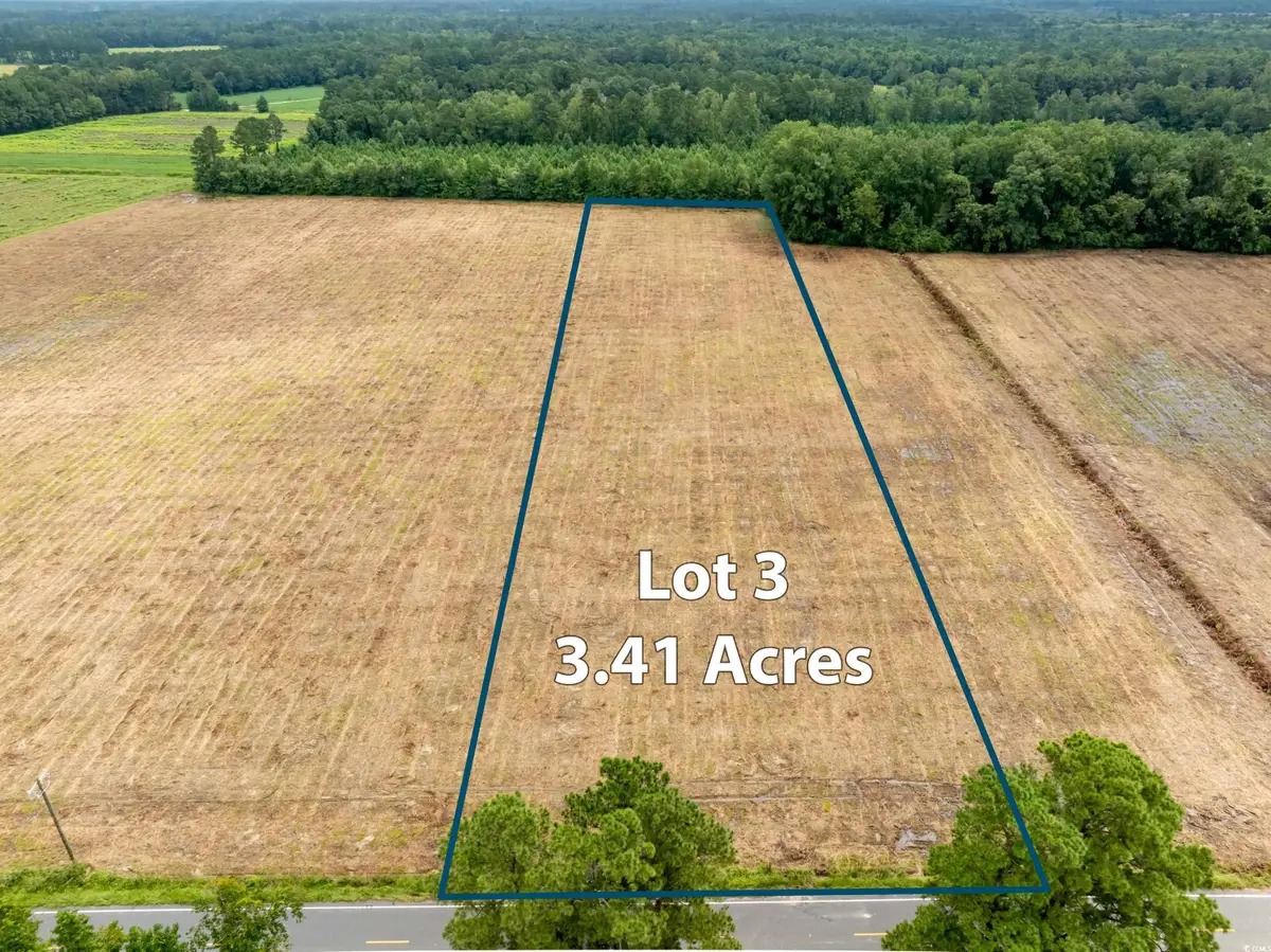 TBD Lot B3 Mount Olive Church Rd., Nichols, SC 29581 - Image #1
