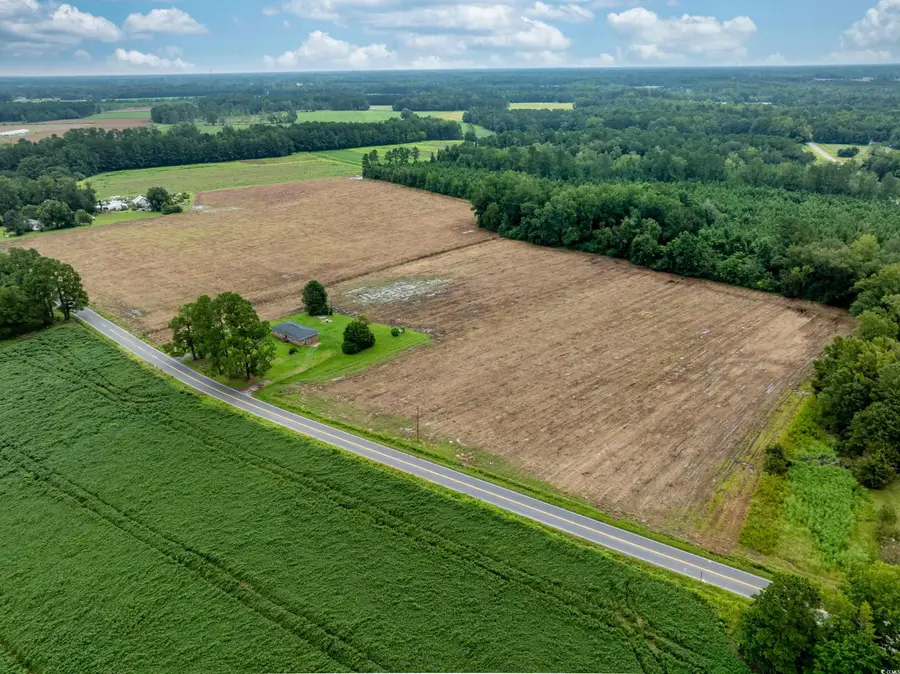 TBD Lot B4 Mount Olive Church Rd., Nichols, SC 29581 - Image #3