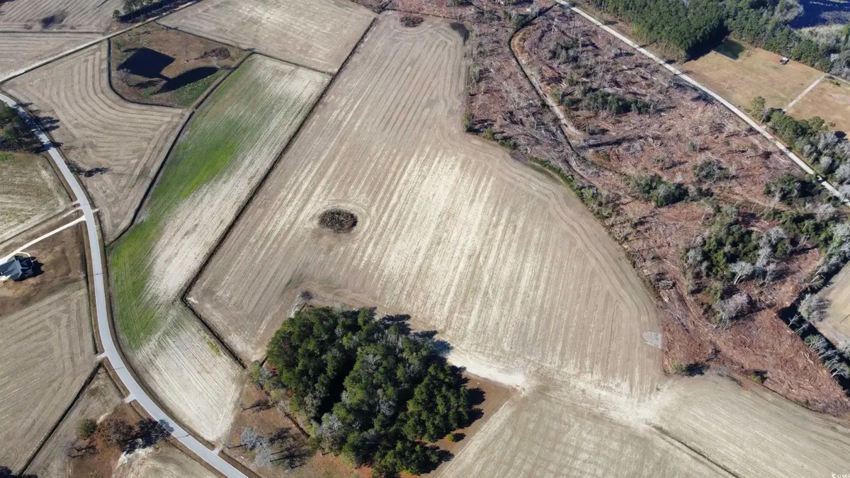 TBD Shelley Ln., Nichols, SC 29581 - Image #1