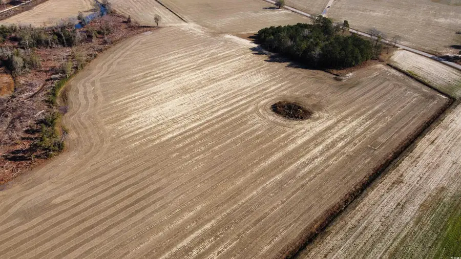 TBD Shelley Ln., Nichols, SC 29581 - Image #2