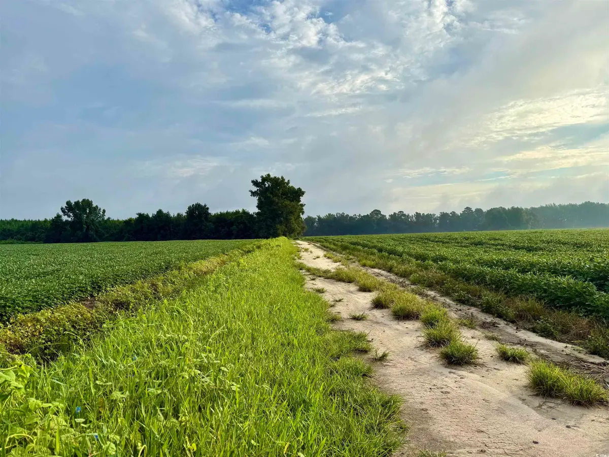 1335 Norwood Rd., Olanta, SC 29114 - Image #1