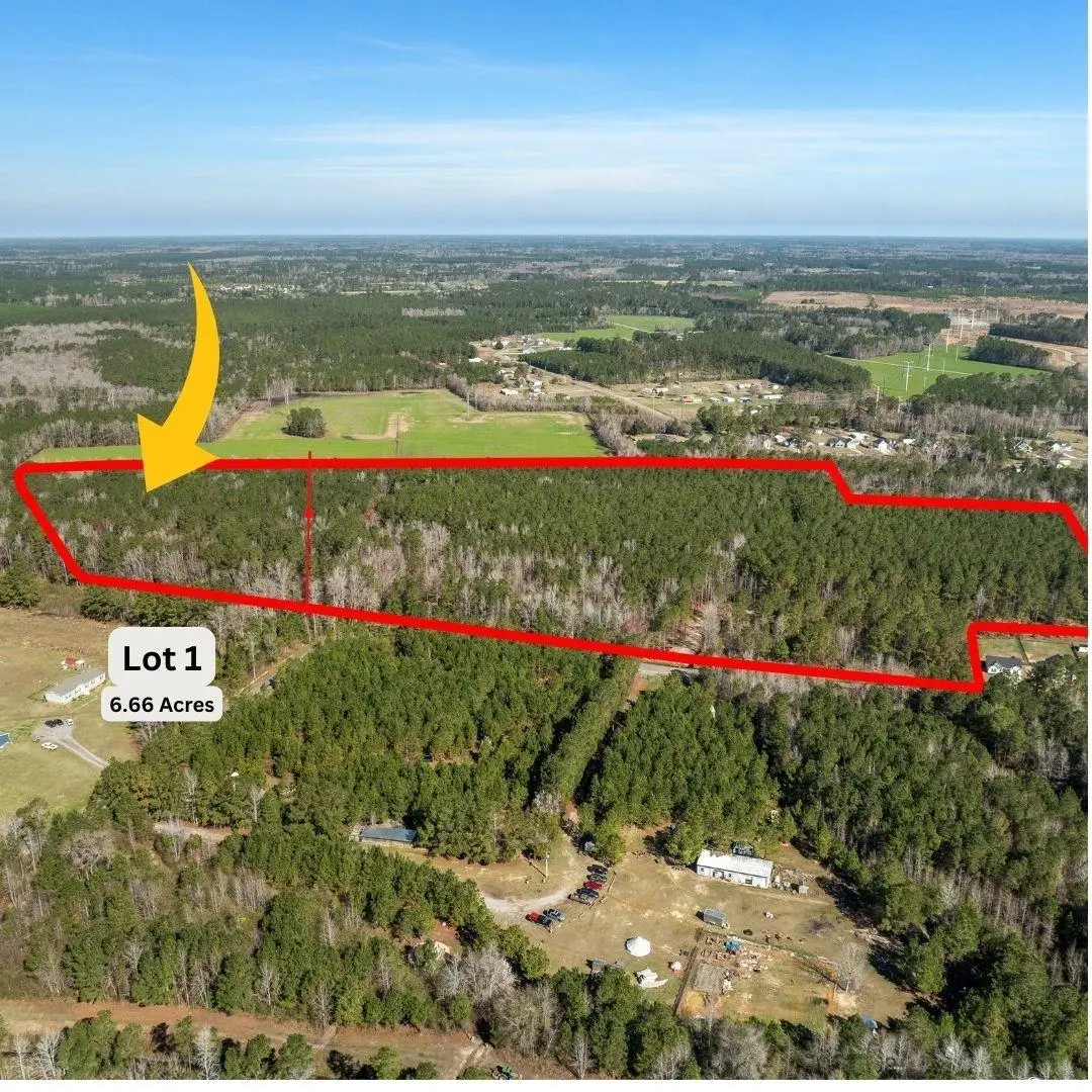 TBD - Lot 1 Daphane Dr., Loris, SC 29569 - #1