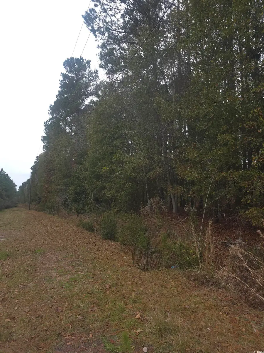 4339 Randall Rd., Conway, SC 29526 - Image #3