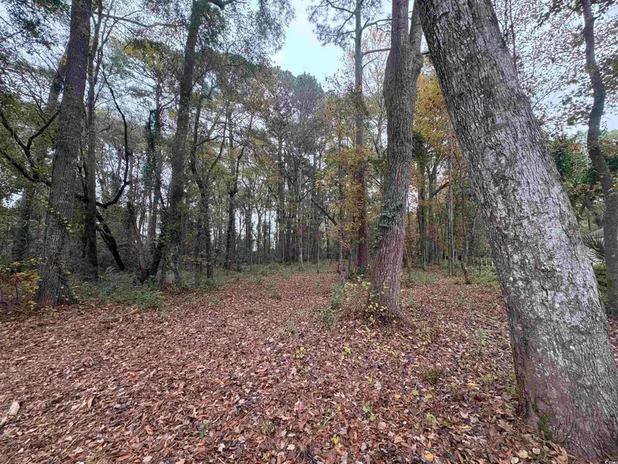 Lot 34 Old Augusta Dr., Pawleys Island, SC 29585 - Image #2
