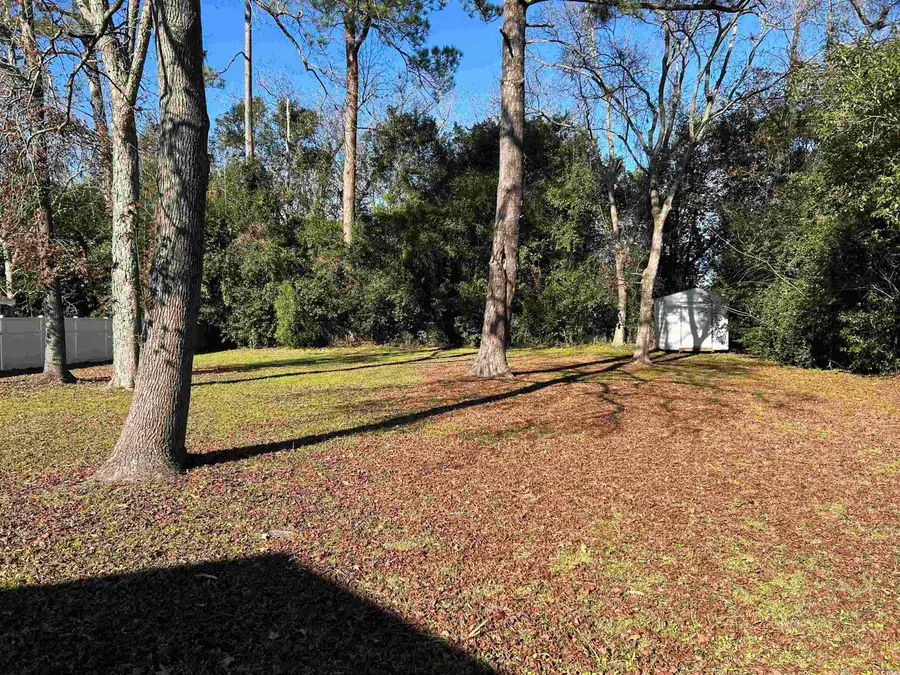 404 E Andrews St., Hemingway, SC 29554 - Image #3