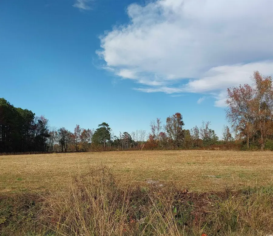 lot 1 Davis Lane, Mullins, SC 29574 - Image #2