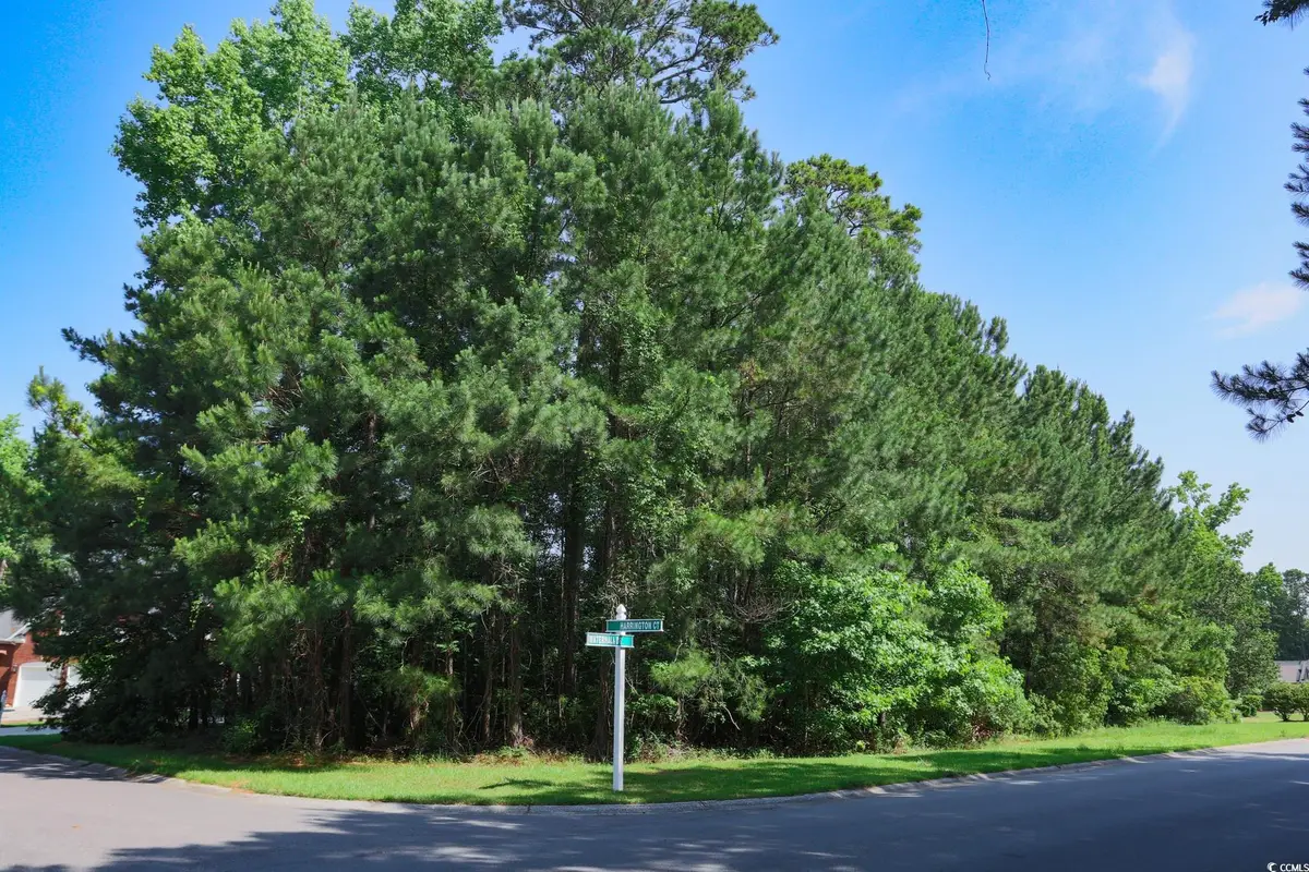 131 Waterhall Dr., Murrells Inlet, SC 29576 - Image #1