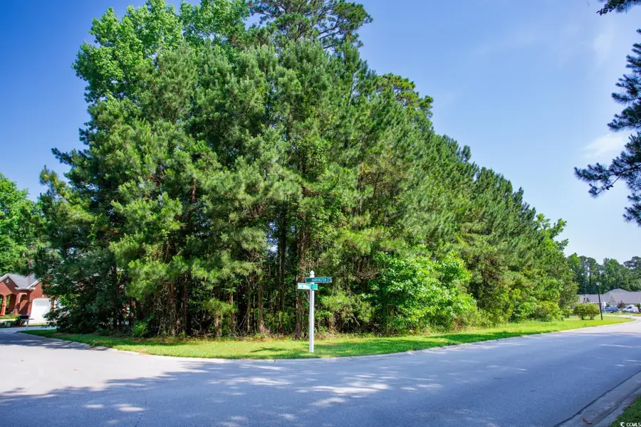 131 Waterhall Dr., Murrells Inlet, SC 29576 - Image #3