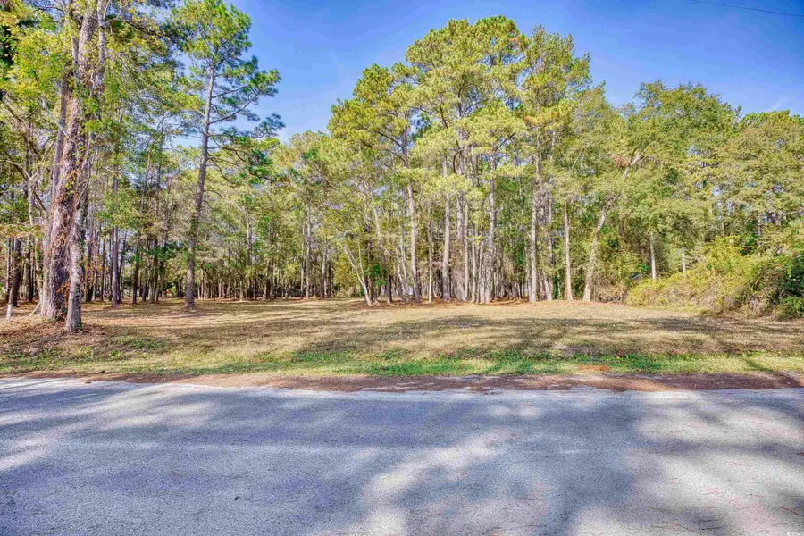 4250 Lilac Rd., Myrtle Beach, SC 29588 - Image #3