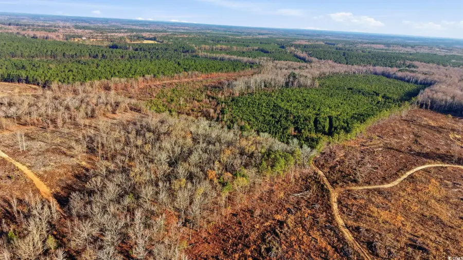 TBD Highway 34, Bishopville, SC 29010 - Image #2