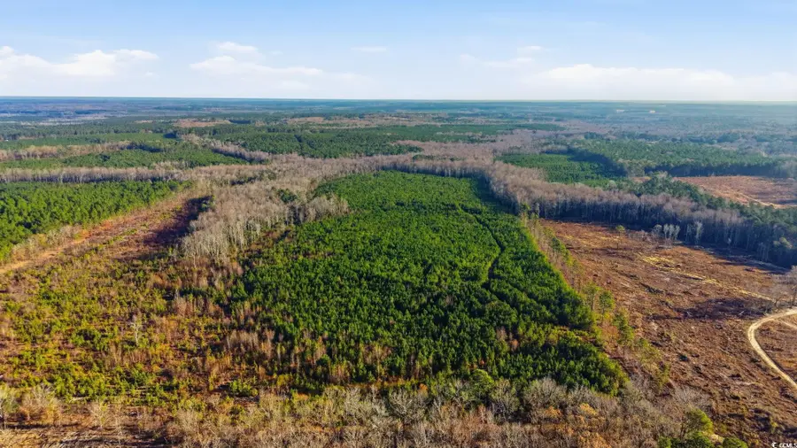 TBD Highway 34, Bishopville, SC 29010 - Image #3