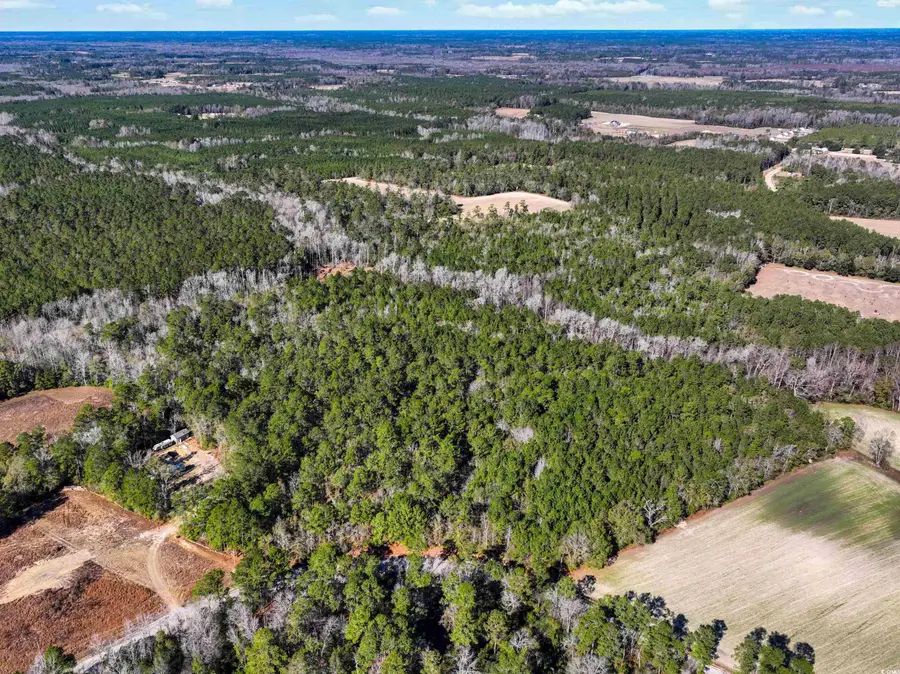 TBD Sand Hill Bay Rd., Loris, SC 29569 - Image #2