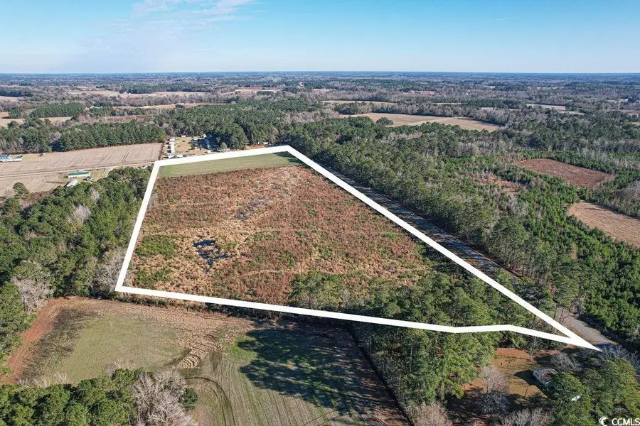 TBD Billy Mc Rd., Green Sea, SC 29545 - Image #3