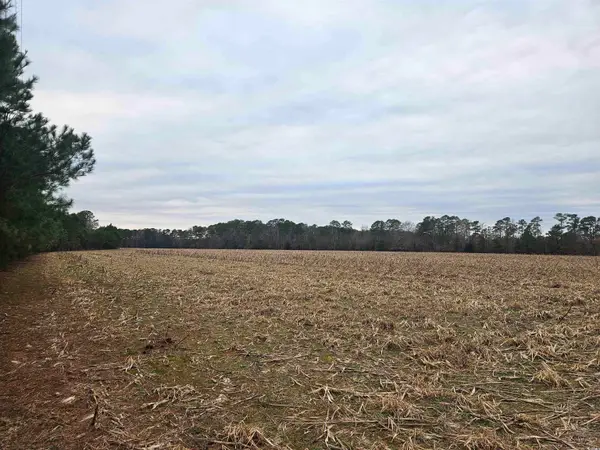 TBD 38ac Cart Rd., Pamplico, SC 29583