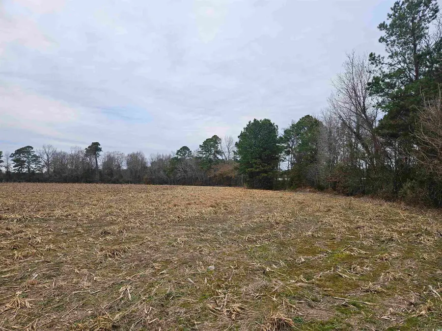 TBD 38ac Cart Rd., Pamplico, SC 29583 - Image #2