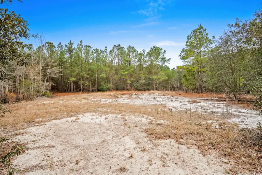 108 Dero Ln, Galivants Ferry, SC 29544 - Image #3