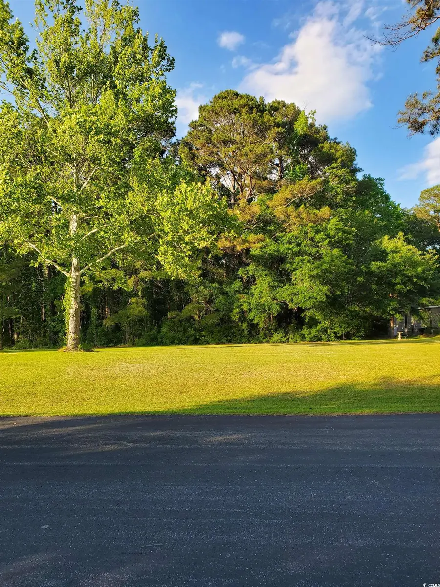 250 Highway 747, Loris, SC 29569 - Image #2