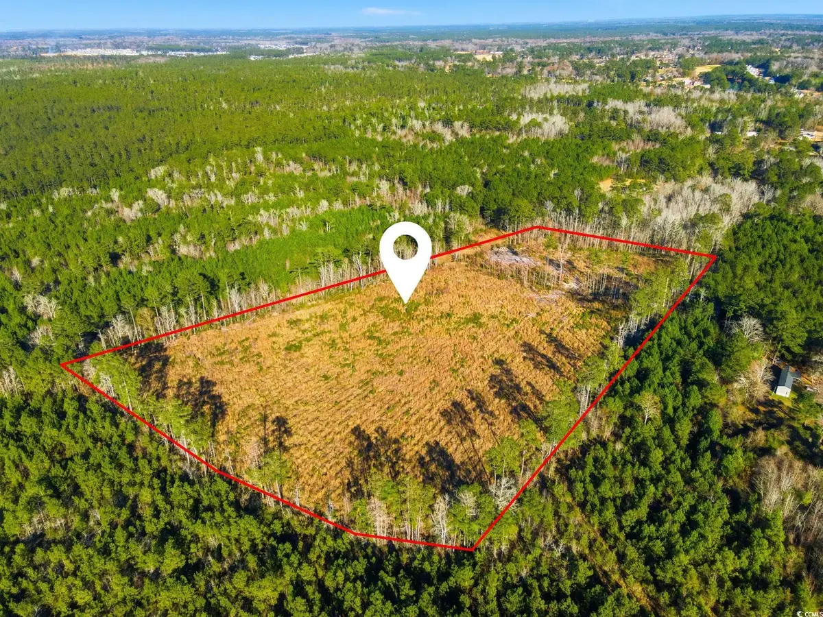 TBD Freemont Rd., Longs, SC 29568 - Image #1