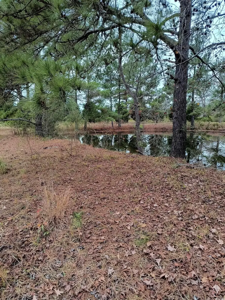 2701 Wise Rd., Conway, SC 29526 - Image #3