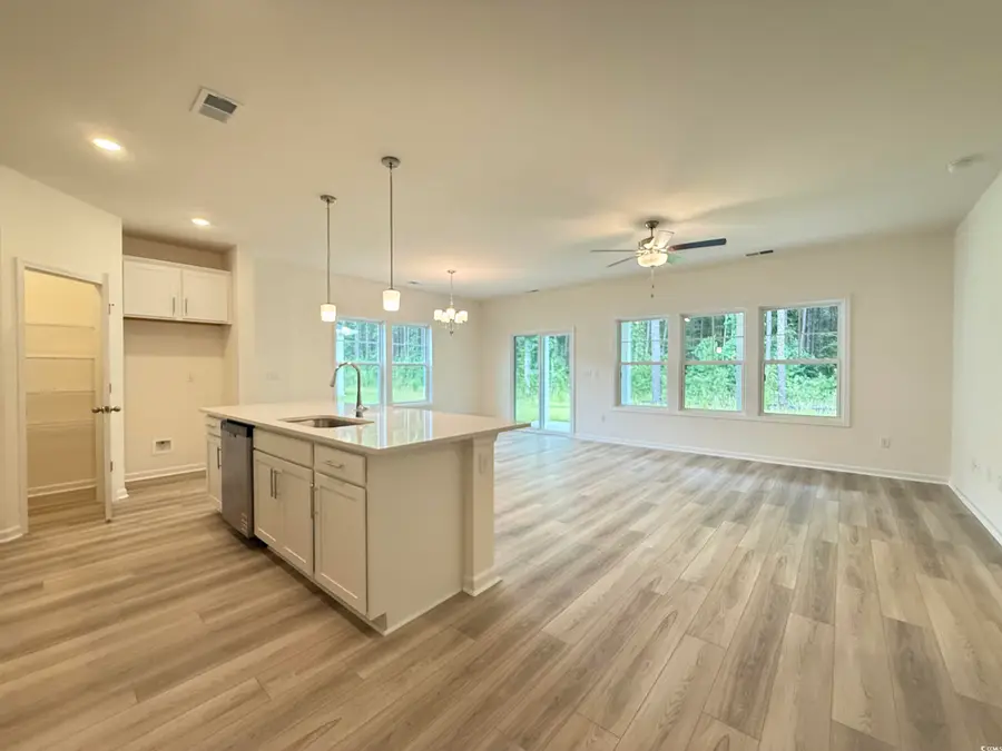 252 Palmetto Sand Loop, Conway, SC 29527 - Image #3