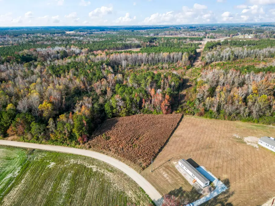 6110 Pleasant View Church Rd., Nichols, SC 29581 - Image #3