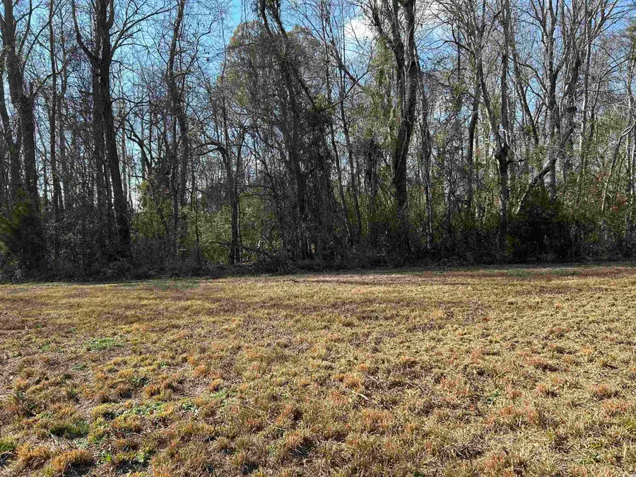 811 Sheila Dr., Johnsonville, SC 29555 - Image #3