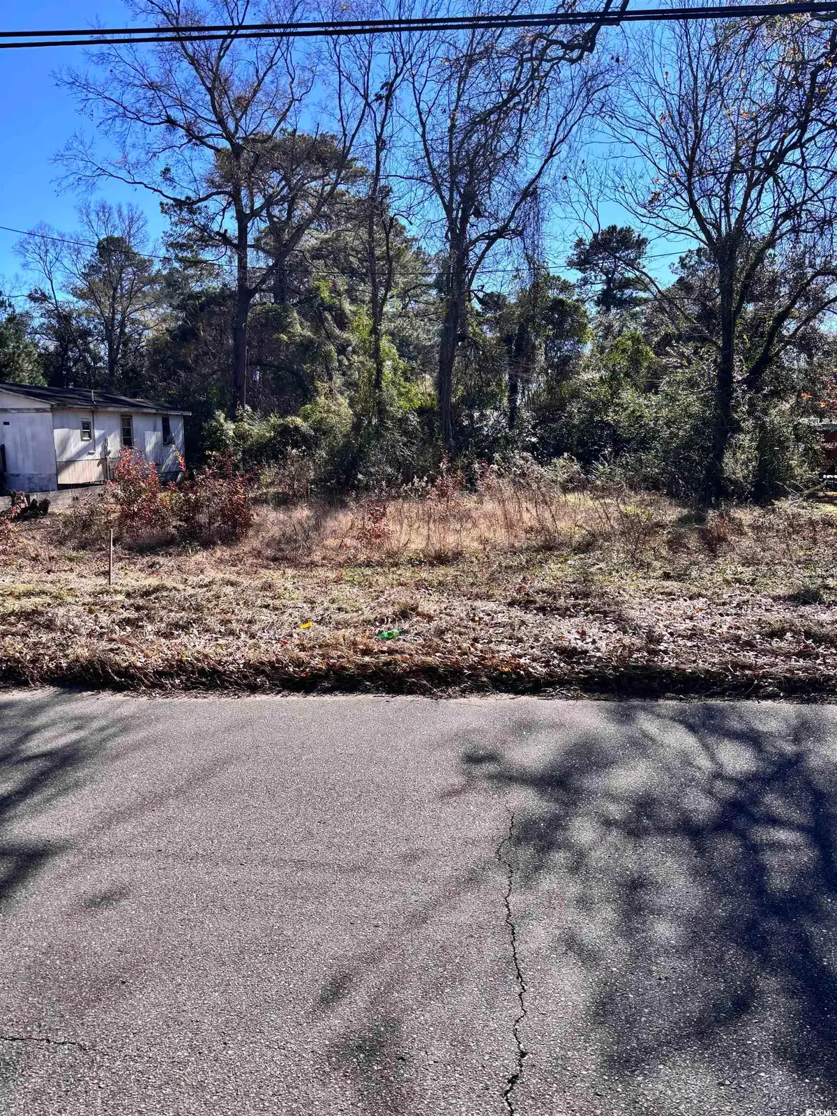 1835 Racepath Ave., Conway, SC 29527 - Image #1