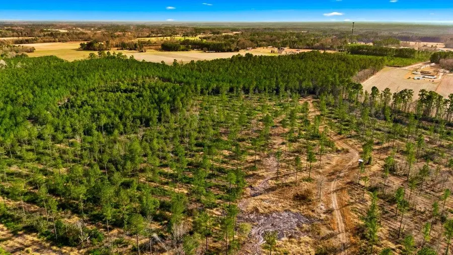 Acreage Highway 45, Loris, SC 29569 - Image #3