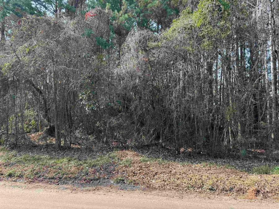 Lt 4 Rolling River Rd., Longs, SC 29568 - Image #3