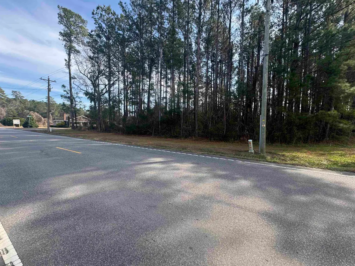 Lt 3 N Highway 905, Longs, SC 29568 - Image #1