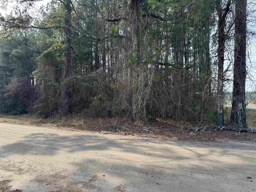 Lt 3 N Highway 905, Longs, SC 29568 - Image #3