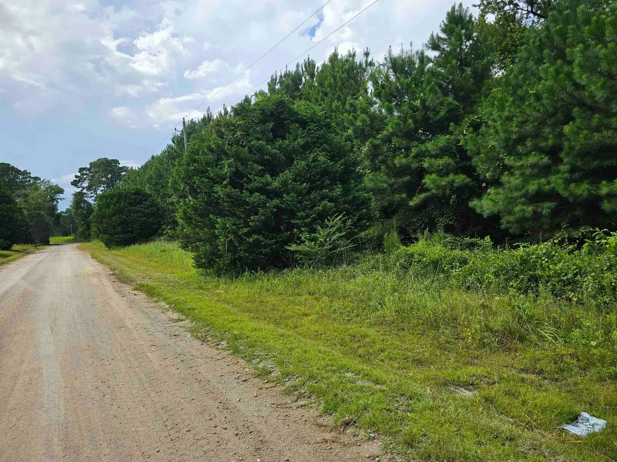 TBD Powell Lane, Loris, SC 29569 - Image #1