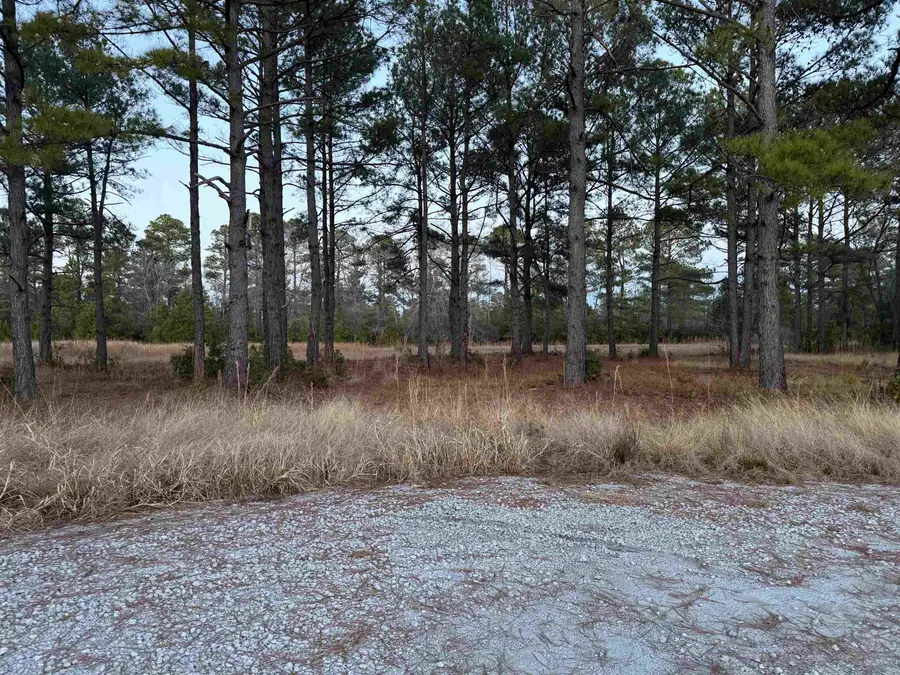 TBD Belland Ct., Loris, SC 29569 - Image #3