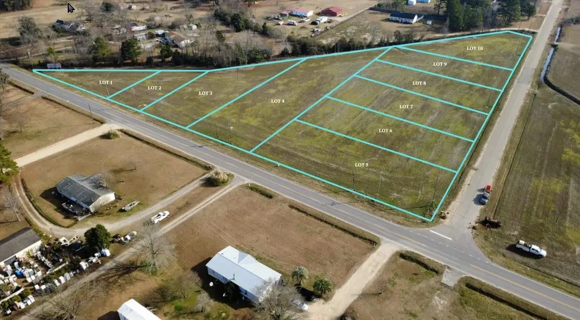 LOT 1 Highway 301, Hamer, SC 29547 - Image #1