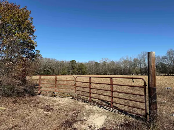 10686 Scott Ave, Manning, SC 29102