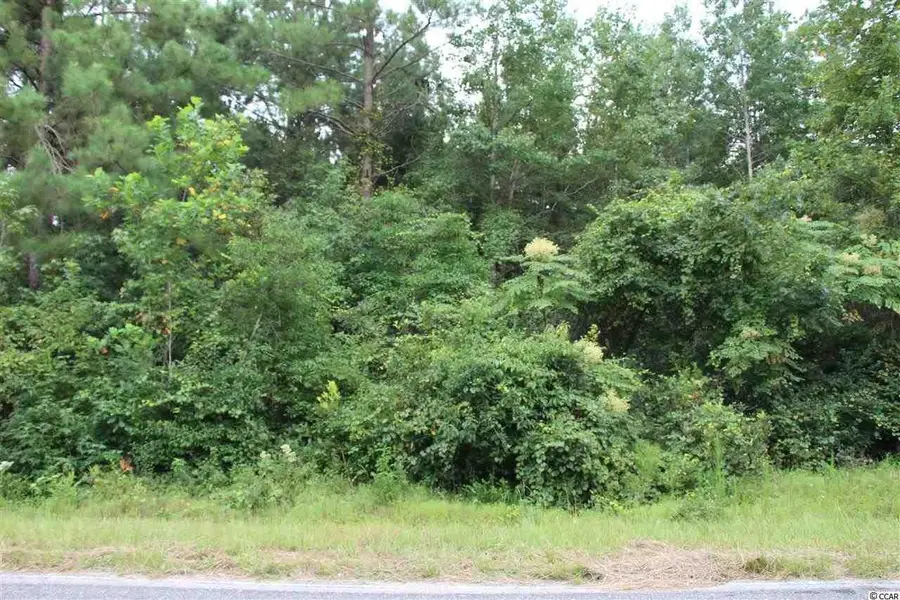 tbd 4B Hulls Island Rd., Loris, SC 29569 - Image #2