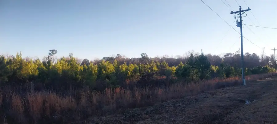 Lot 13 Mw Stroud Rd., Nichols, SC 29581 - #3