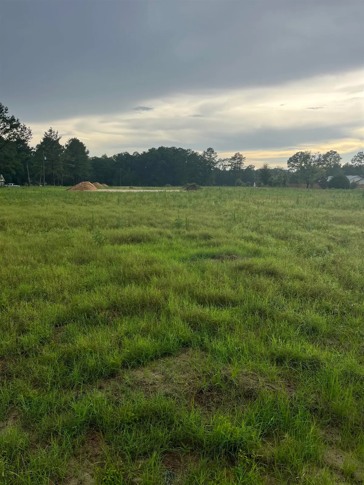 TBD Lexyryan Ct., Latta, SC 29565 - Image #1