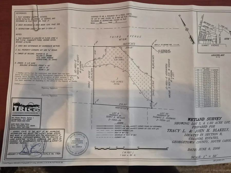 Lot 3 Third Ave., Georgetown, SC 29440 - Image #2