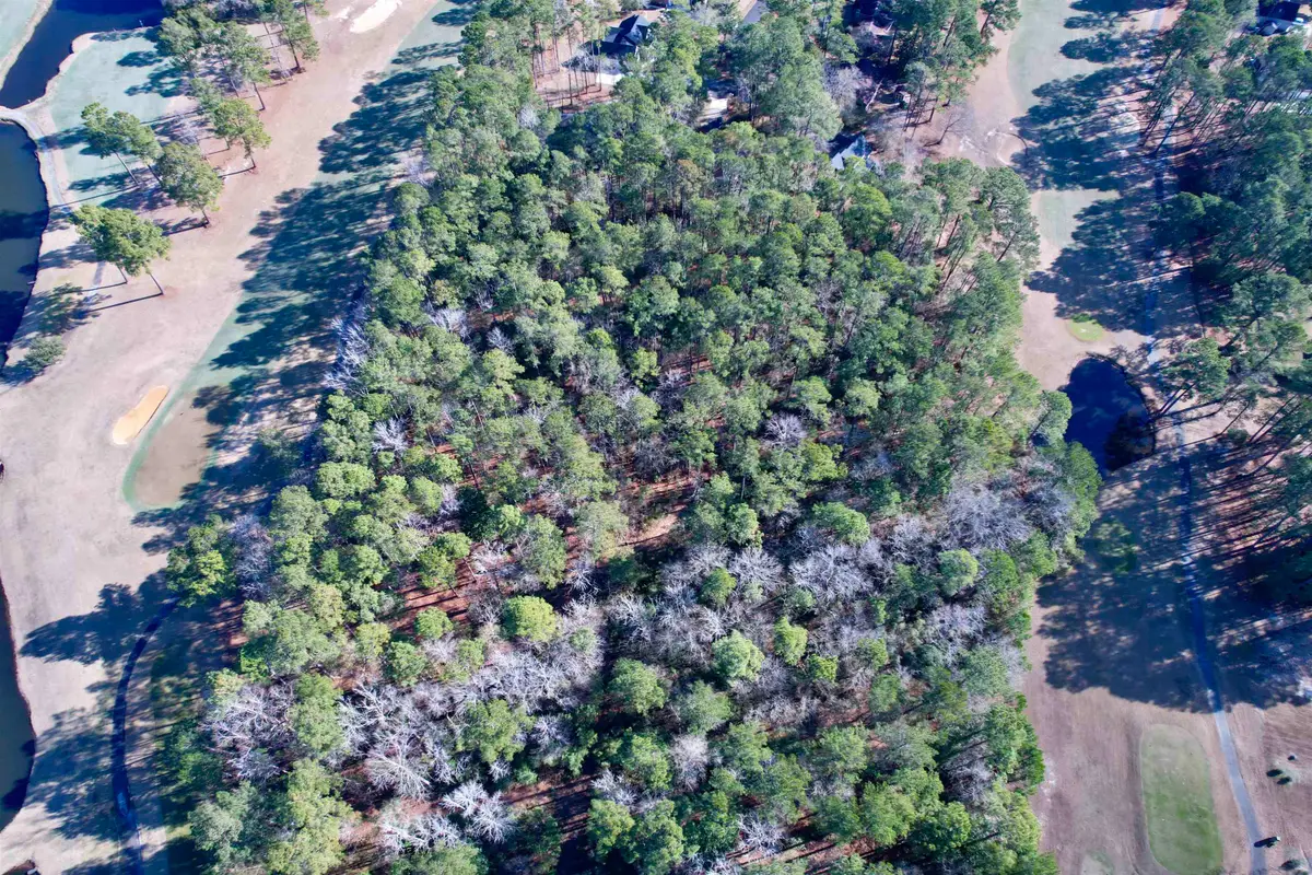 10 Lots - Dragooon Ct., Georgetown, SC 29440 - Image #1