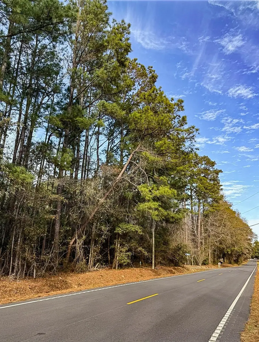 TBD Bucksville Dr., Conway, SC 29527 - Image #2