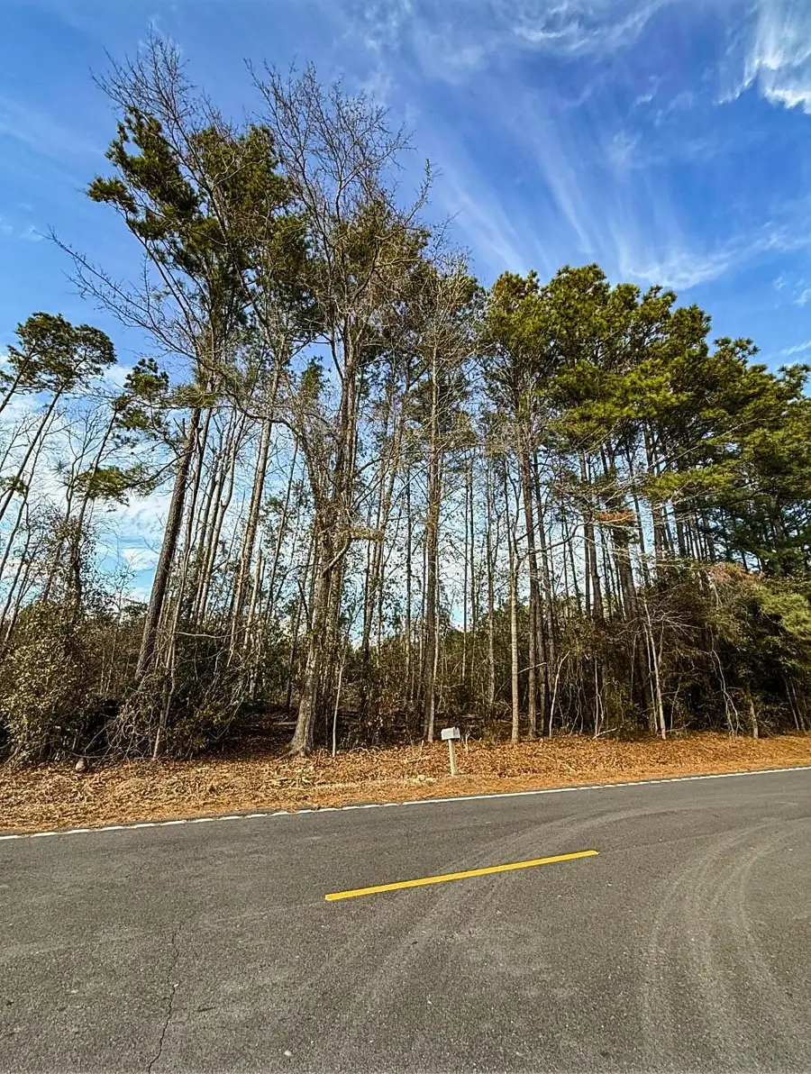 TBD Bucksville Dr., Conway, SC 29527 - Image #3