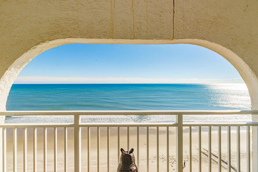 1207 S Ocean Blvd. S #21105, Myrtle Beach, SC 29577 - Image #2