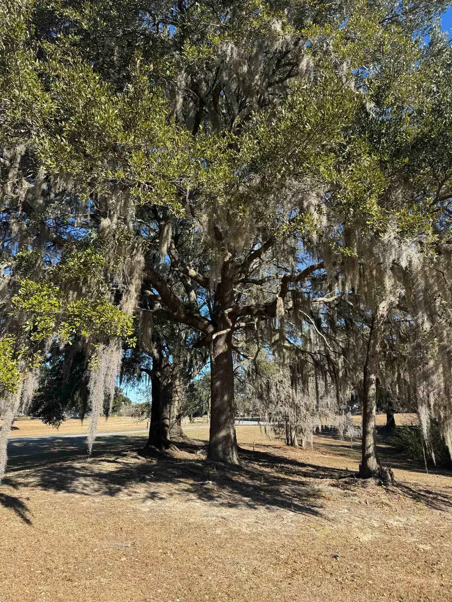 437 Rosebank Rd., Georgetown, SC 29440 - Image #2