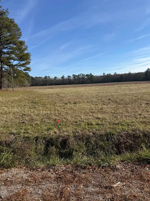 Lot 5 Johnson Shelley Rd., Conway, SC 29526
