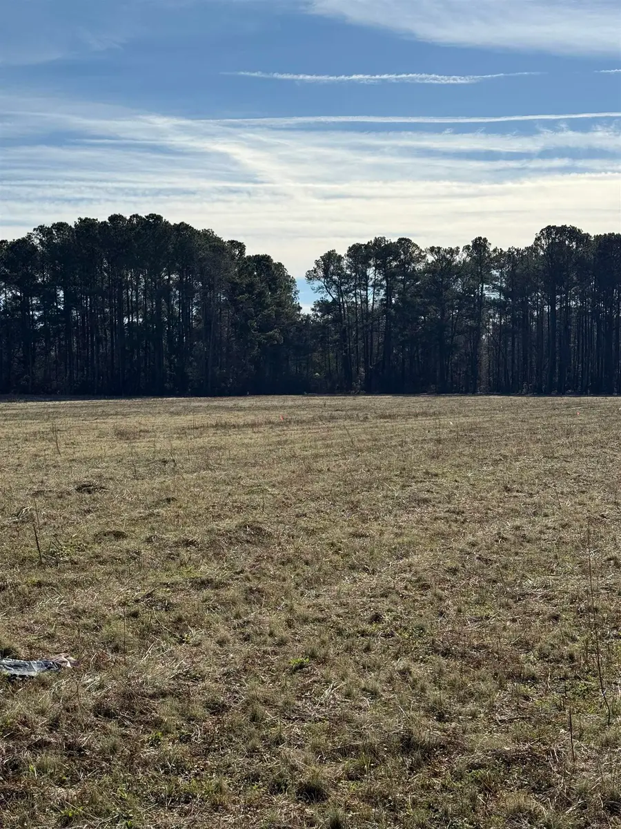 Lot 5 Johnson Shelley Rd., Conway, SC 29526 - Image #3