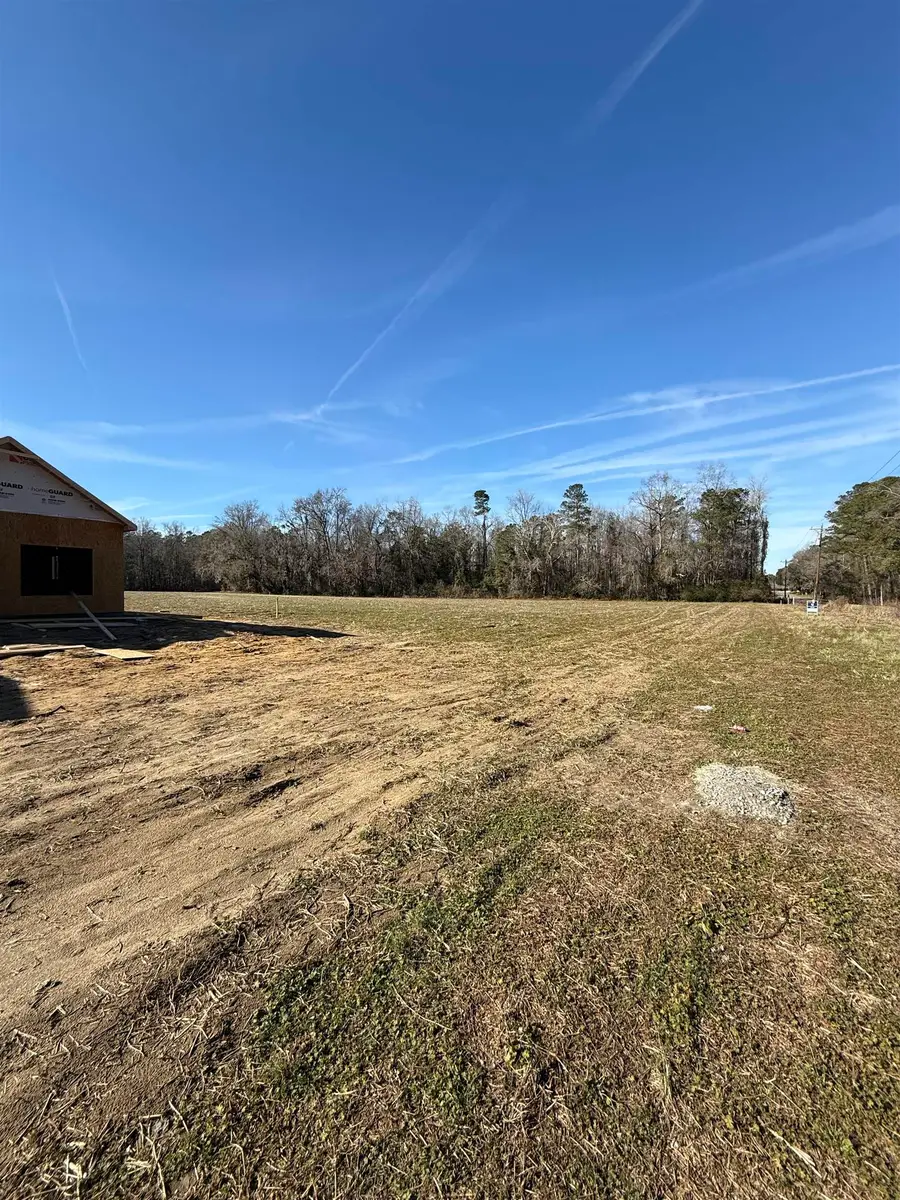 Tract 2 Highway 668, Conway, SC 29526 - Image #2