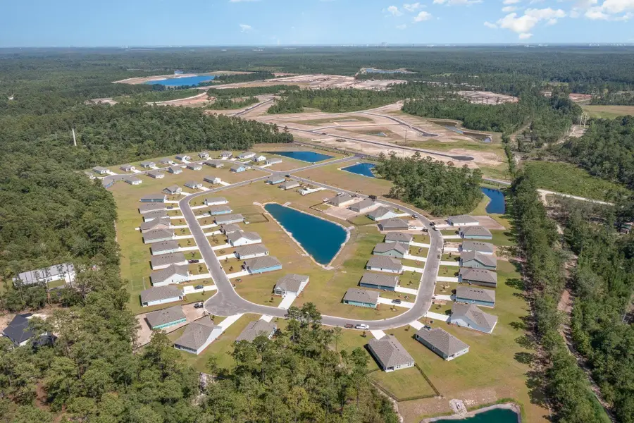 3048 Berry Bush Way, Conway, SC 29526 - Image #3